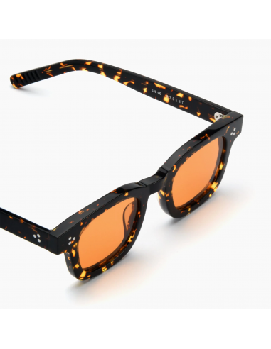 ASCENT TOKYO TORTOISE ACETATE