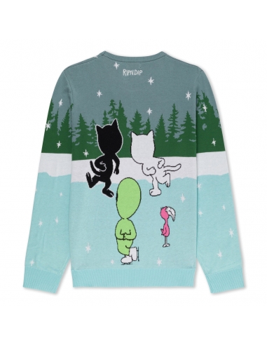 SKATING WITH FRIENDS SWEATER