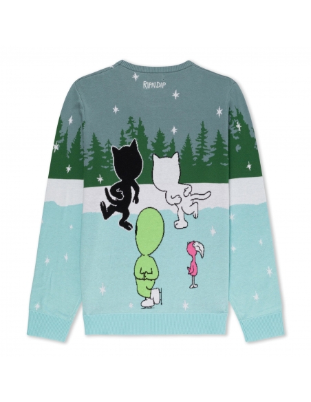 SKATING WITH FRIENDS SWEATER