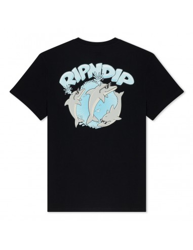 DOLPHIN DUDES TEE