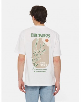 HERNDON TEE SS WHT