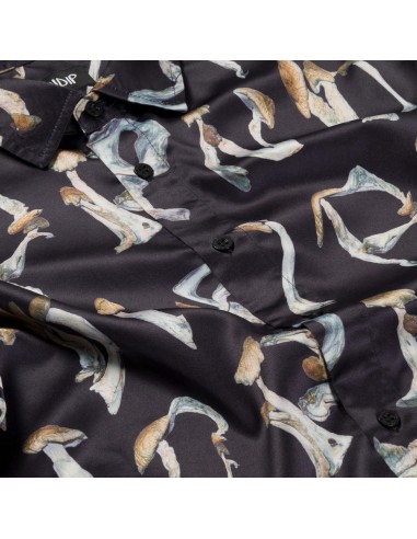 IS THIS REAL LIFE BUTTON UP