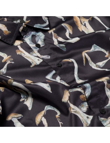 IS THIS REAL LIFE BUTTON UP