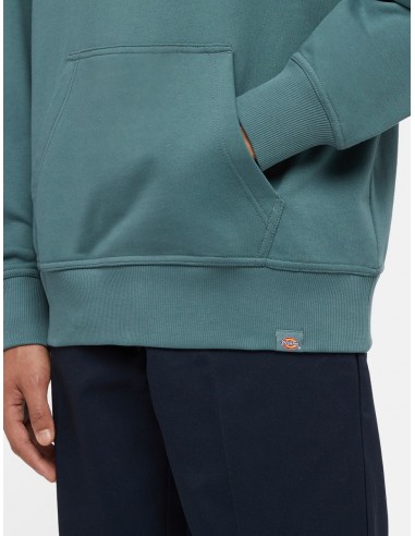 GLOBE HOODIE LINCOLN GREEN