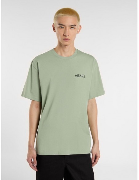 DICKIES SNAKE SS TEE ICEBERG GREEN