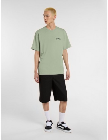 DICKIES SNAKE SS TEE ICEBERG GREEN