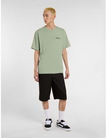 DICKIES SNAKE SS TEE ICEBERG GREEN