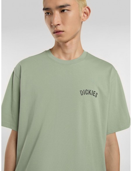 DICKIES SNAKE SS TEE ICEBERG GREEN
