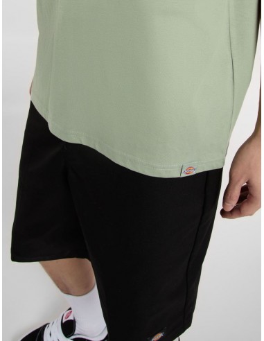 DICKIES SNAKE SS TEE ICEBERG GREEN