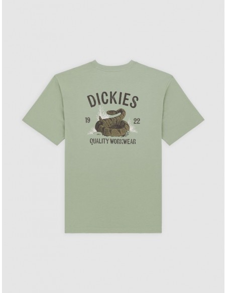 DICKIES SNAKE SS TEE ICEBERG GREEN