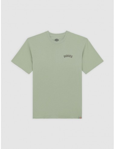 DICKIES SNAKE SS TEE ICEBERG GREEN