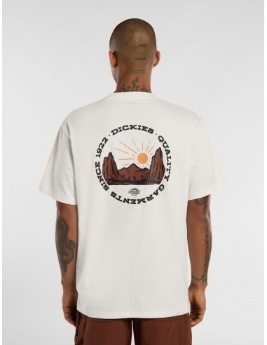 DICKIES OUTDOOR SS TEE EGRET