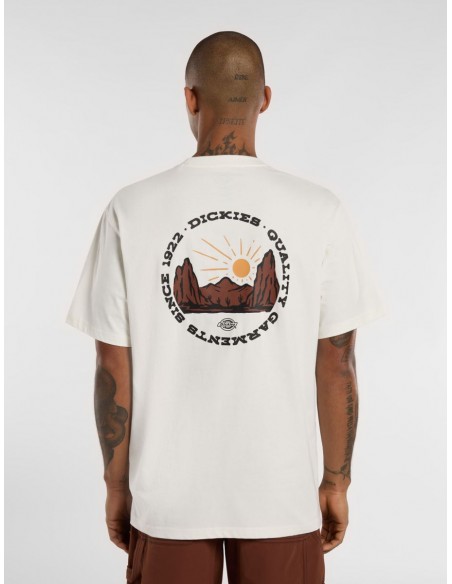 DICKIES OUTDOOR SS TEE EGRET