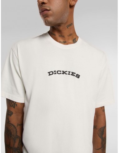 DICKIES OUTDOOR SS TEE EGRET