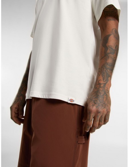 DICKIES OUTDOOR SS TEE EGRET