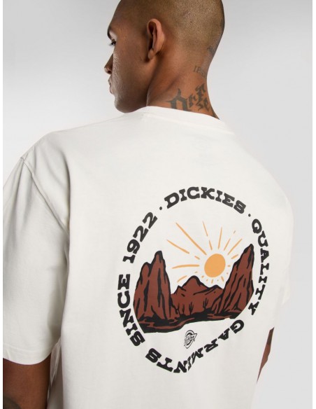 DICKIES OUTDOOR SS TEE EGRET
