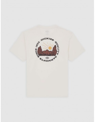 DICKIES OUTDOOR SS TEE EGRET