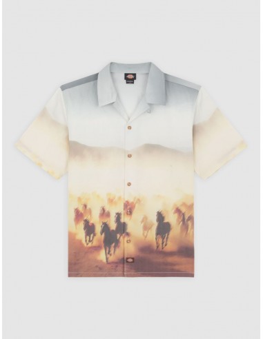 RUNNING WILD SHIRT SS