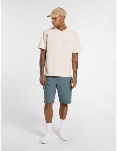 DUCK CARPENTER SHORT STORMY WEATHER