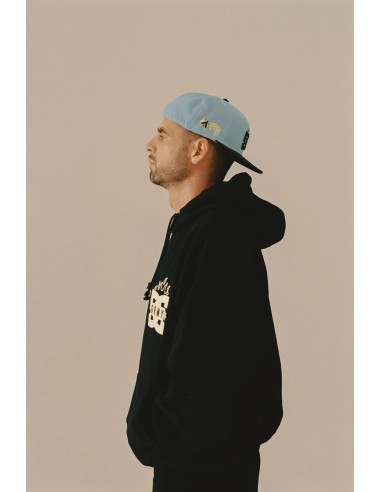 THE SWARM DC SHOES X GRIMEY FITTED CAP BLUE